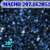 MACHO 207.16205.976