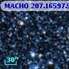 MACHO 207.16597.575
