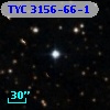 TYC 3156-66-1