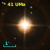 *  41 UMa