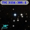 TYC 3156-308-1