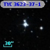TYC 3623-37-1