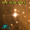 TYC 3156-709-1