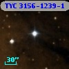 TYC 3156-1239-1