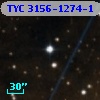 TYC 3156-1274-1