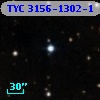 TYC 3156-1302-1