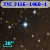 TYC 3156-1460-1