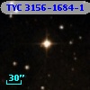 TYC 3156-1684-1