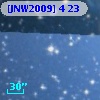 [JNW2009] 4   23
