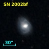SN 2002bf