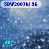 [SBW2007b] 96