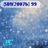 [SBW2007b] 99