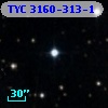TYC 3160-313-1