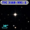 TYC 3160-995-1