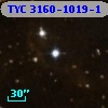 TYC 3160-1019-1