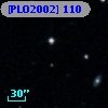 [PLO2002] 110