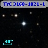 TYC 3160-1021-1
