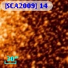 [SCA2009] 14