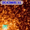 [SCA2009] 31