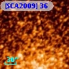 [SCA2009] 36