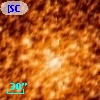 [SCA2009] 8