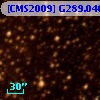 [CMS2009] G289.046-00.339
