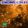 [CMS2009] G291.632-00.540