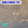 [DRS2009] 79