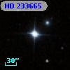 HD 233665