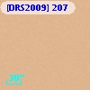[DRS2009] 207