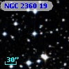 NGC  2360    19