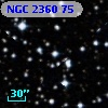 NGC  2360    75