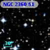 NGC  2360    81