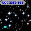 NGC  2360   101