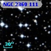 NGC  2360   111