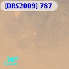 [DRS2009] 787
