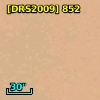 [DRS2009] 852