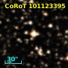 CoRoT 101123395