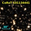 CoRoT 101134441