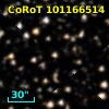 CoRoT 101166514