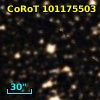 CoRoT 101175503