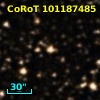 CoRoT 101187485
