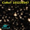CoRoT 101239347