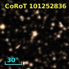 CoRoT 101252836