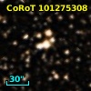 CoRoT 101275308