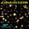 CoRoT 101312396