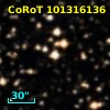 CoRoT 101316136