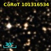 CoRoT 101316534