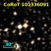 CoRoT 101336091