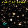 CoRoT 101363981
